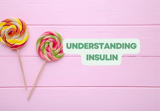  Understanding Insulin